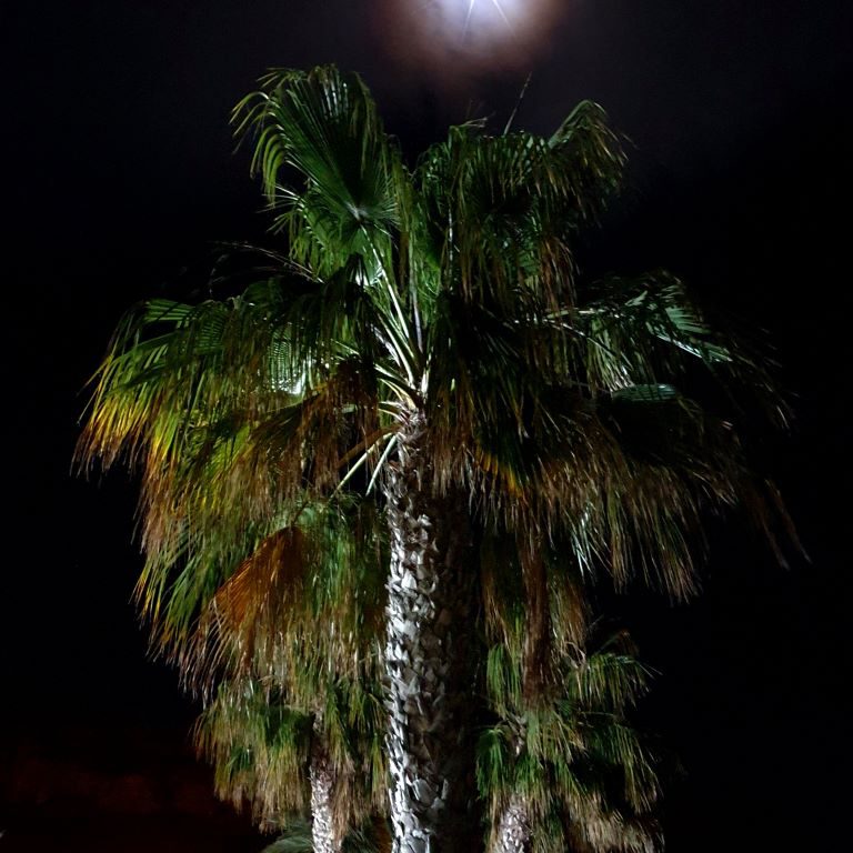 La Azohia Plaza Juan Predes MoonView