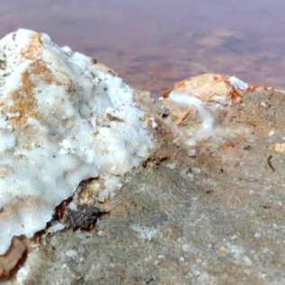 Salinas Torrevieja Lago Rosa Color depends on Weather and SunlighT