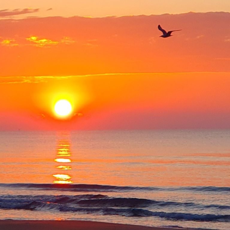 Dunes de la Marina another Unique SunrisE