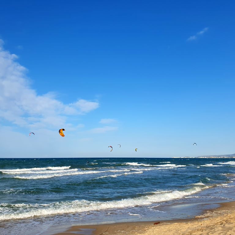Playa Santa Ana Kite