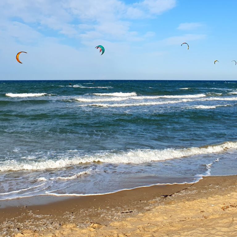 Playa Santa Ana Kite