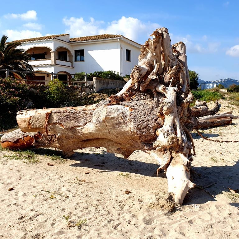 Playa Dénia first Stop on the Return JourneY