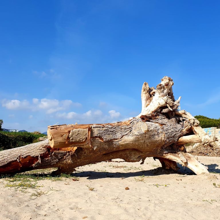 Playa Dénia first Stop on the Return JourneY
