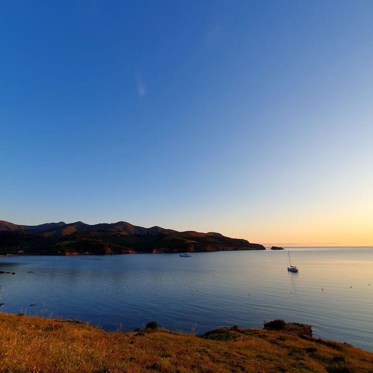 At the Beginning of my Exploration of the HeadlanD