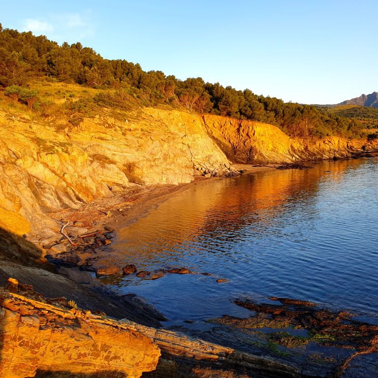 Platja Sota d´en Navata to My LefT