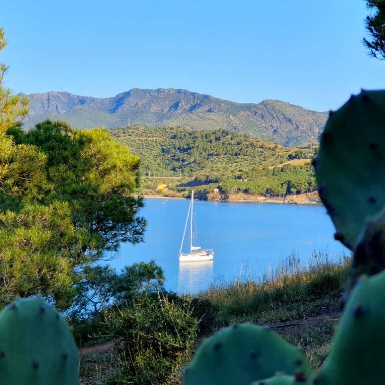 View from above Platja del BorrÓ to the bay