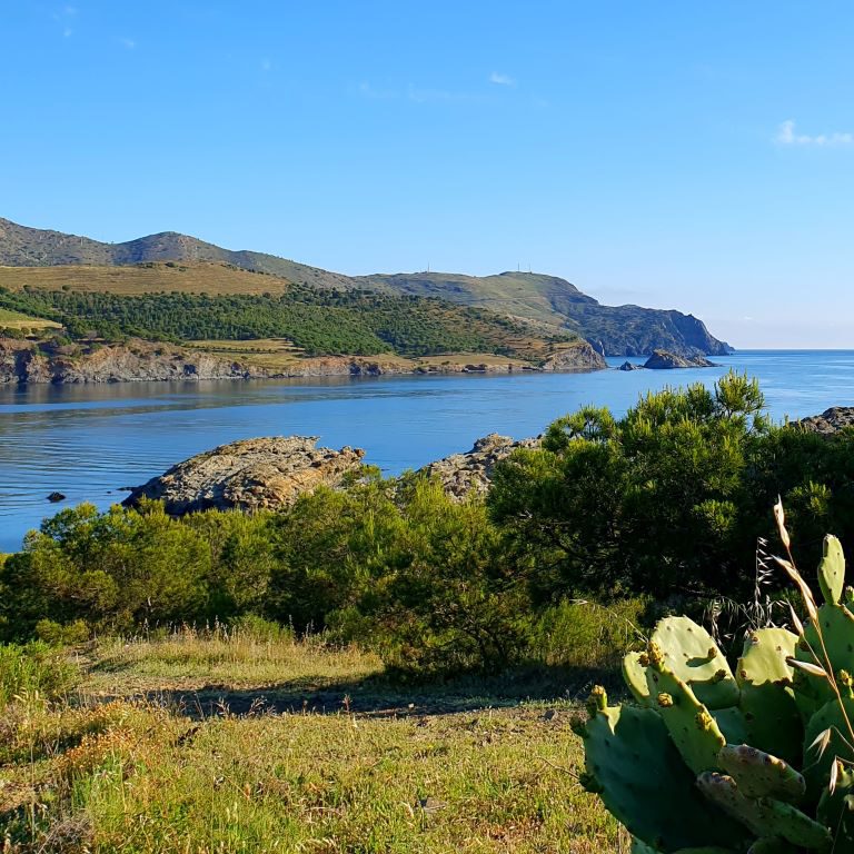 View from above of the opposite Headland and small Illa PetitA