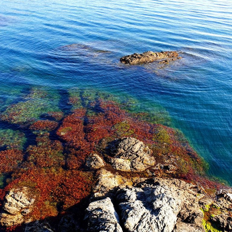 At this Point the Pyrenees disappear into the MediterraneaN