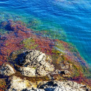 At this Point the Pyrenees disappear into the MediterraneaN