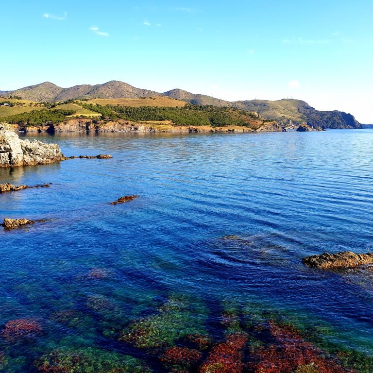 At this Point the Pyrenees disappear into the MediterraneaN
